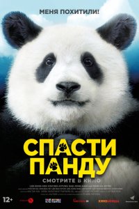 Спасти панду